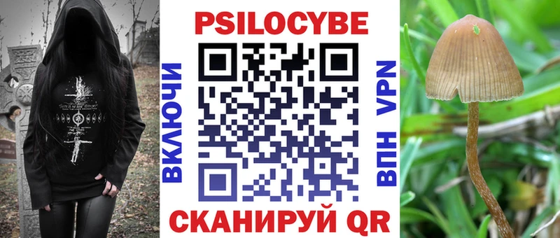 Псилоцибиновые грибы GOLDEN TEACHER  ссылка на мегу   Первомайск  наркотики 